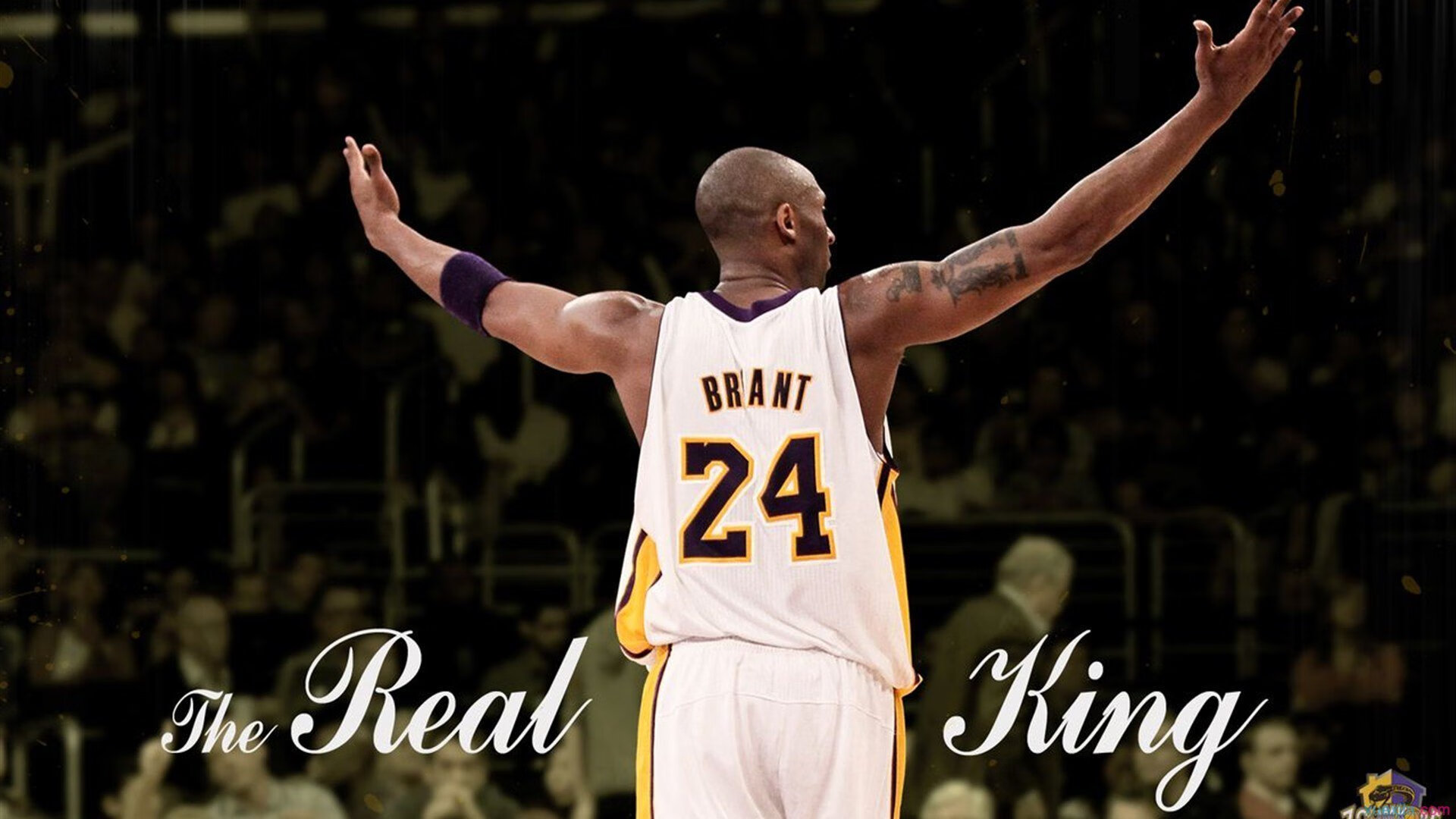 孤骑破围，汉密尔顿一肩扛起银箭，梅赛德斯横扫雷诺的战术革命