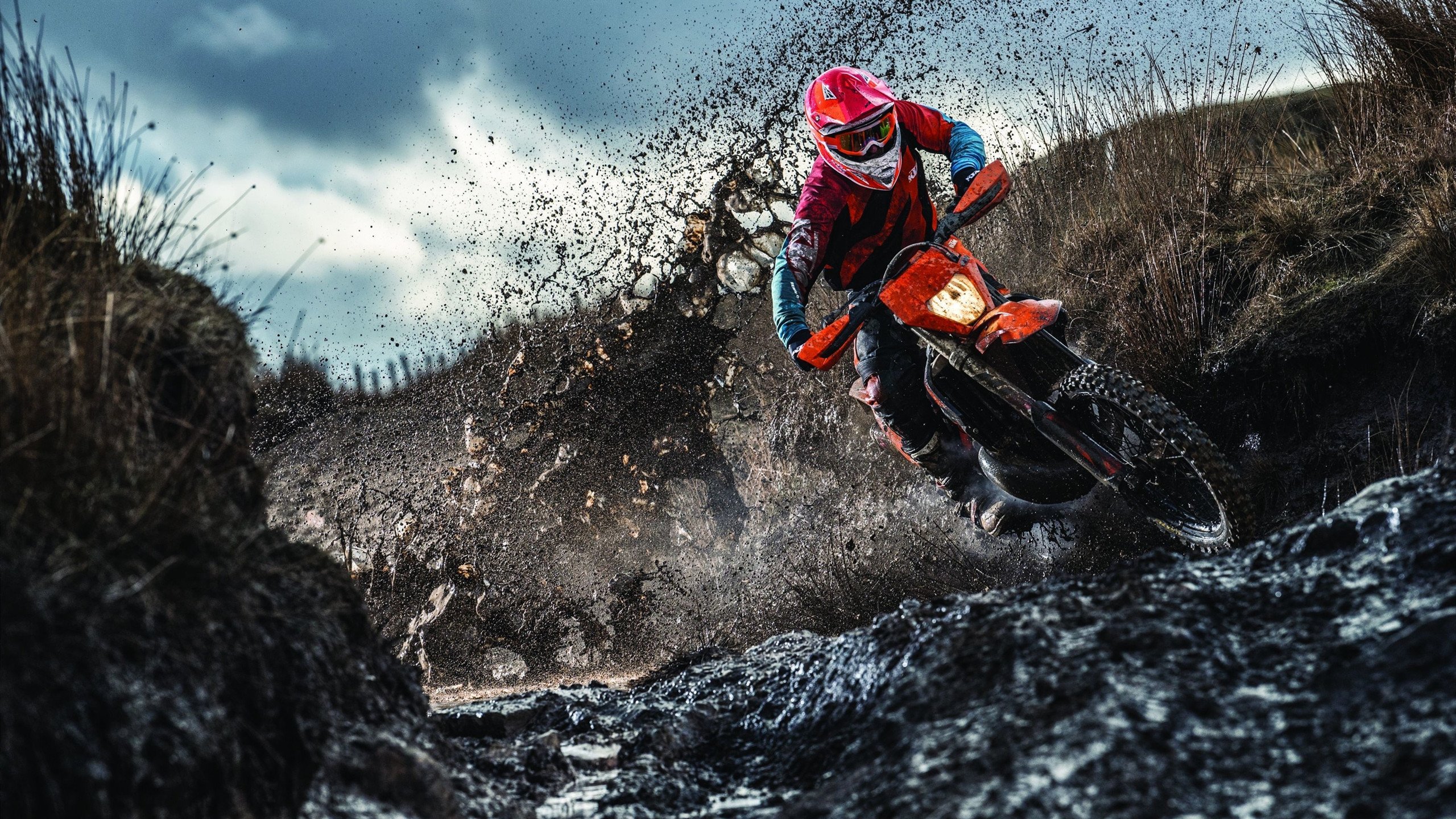 赛道上的艺术,阿隆索领衔法拉利轻取索伯车队